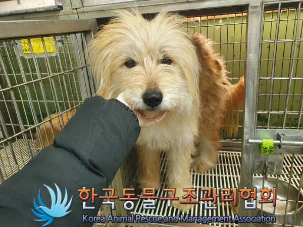 한국동물구조관리협회_441560202400088